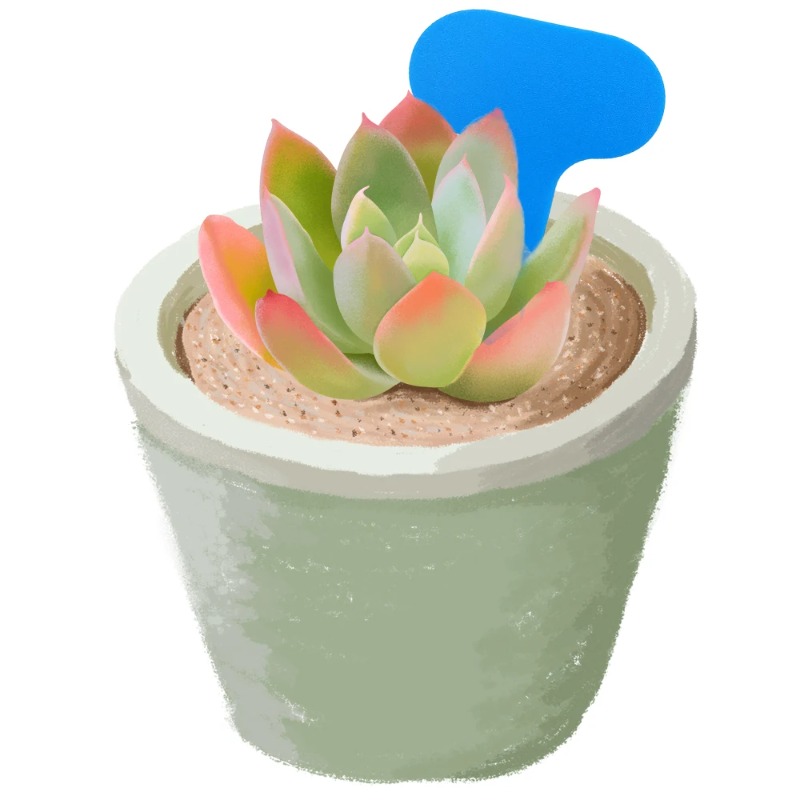 50 個の庭の植物ラベルマーカー 50*70 ミリメートルカ - Bonsai Garden Ticket のレビューと価格