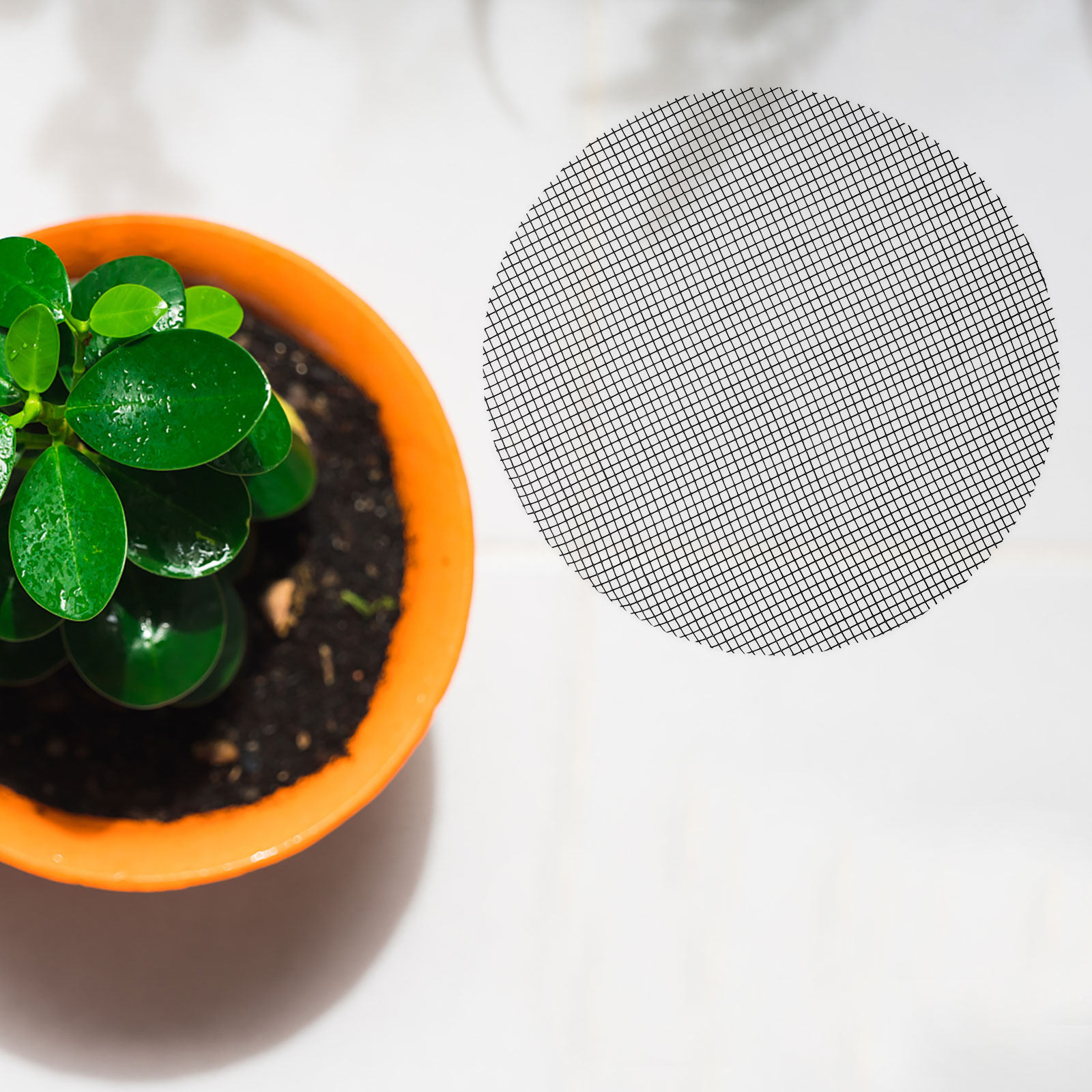 50枚入り 花鉢穴用メッシュパッド 丸型排水ネット プラスチ - Bonsai Garden Usa のレビューと価格