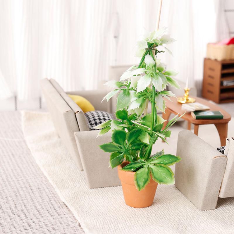1/12 ドールハウスシミュレーション緑植物盆栽モデルドール - Bonsai Garden Usa のレビューと価格