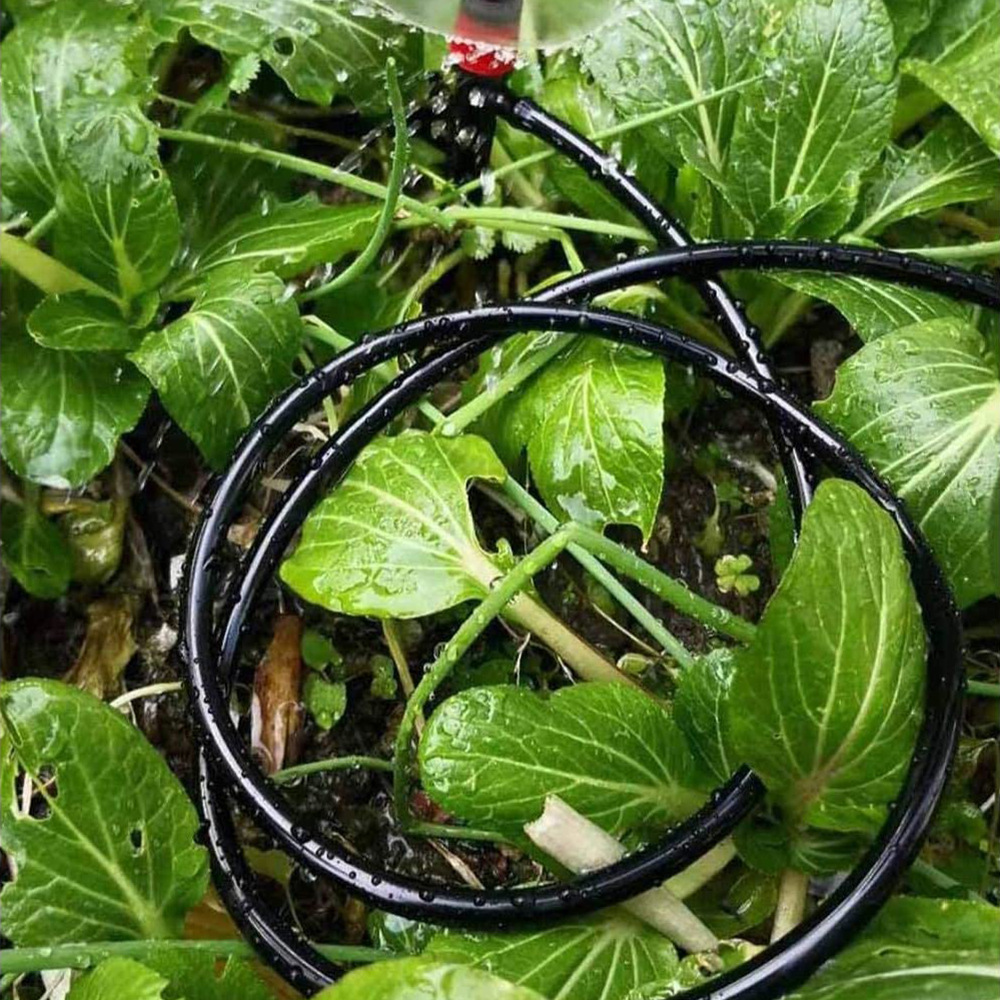 庭の水やりホース、点滴灌漑、ミストチューブ、温室、盆栽、植物 - Bonsai Garden Youtube のレビューと価格