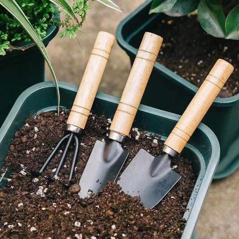 3PC/1 セットミニガーデニングツールセットポータブル小型 - Soil Scoop Tool のレビューと価格