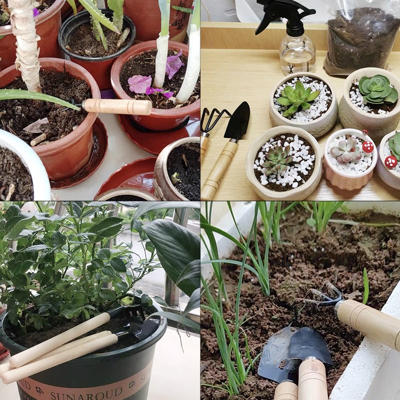 3PC/1 セットミニガーデニングツールセットポータブル小型 - Soil Scoop Tool のレビューと価格