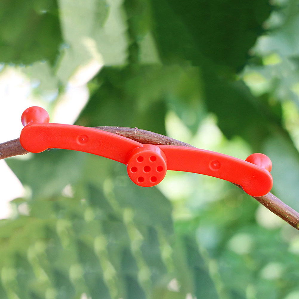 10個入りフレキシブルプラントベンダー、調整可能な360度回 - Bonsai Garden Usa のレビューと価格
