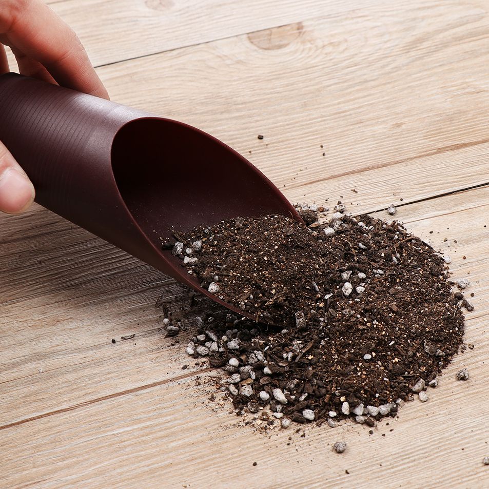 プラスチック製の庭の手入れ用の芝生の形をしたポーチ,植物が付 - Soil Scoop Tool のレビューと価格
